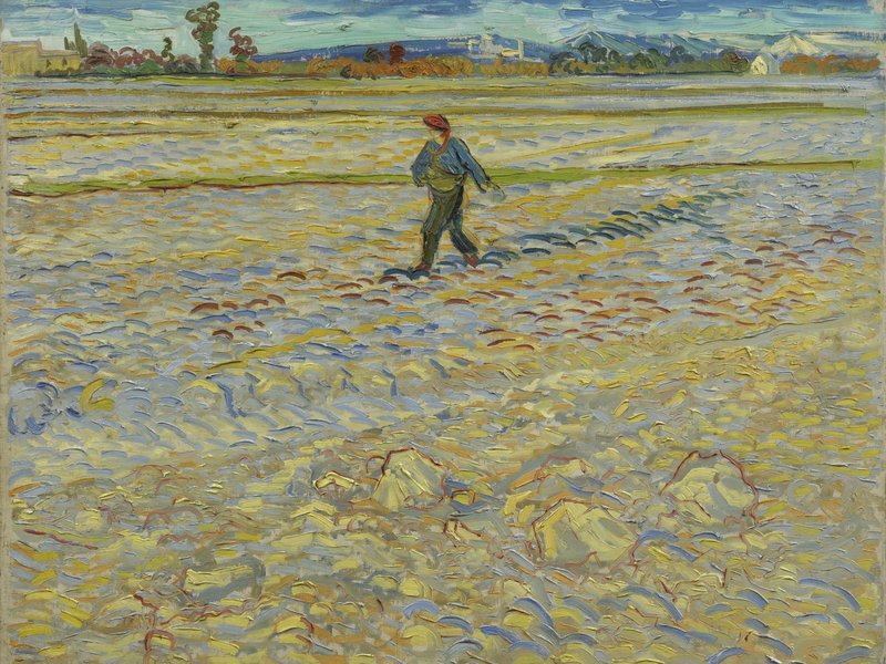 van gogh le semeur